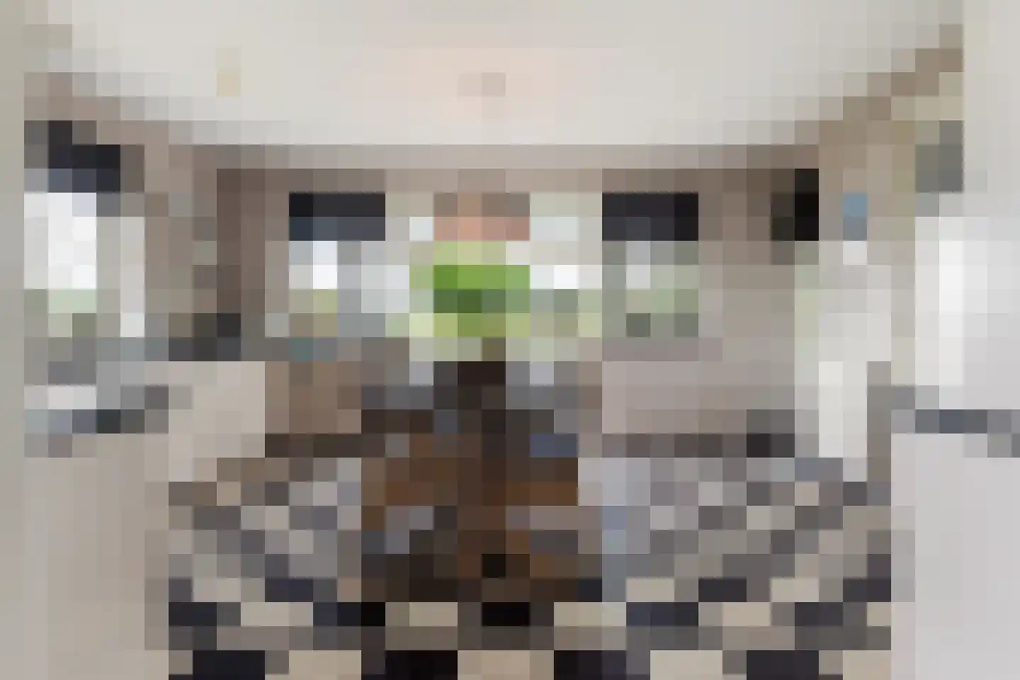Voorste Kerkweg 22 Beekbergen thumbnail 14