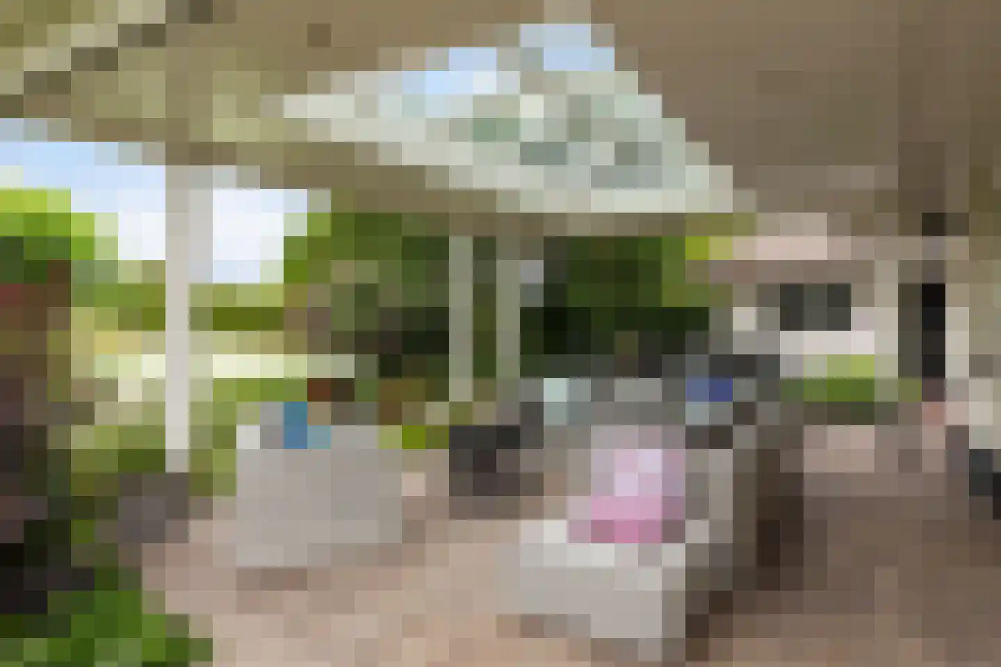 Voorste Kerkweg 22 Beekbergen thumbnail 16