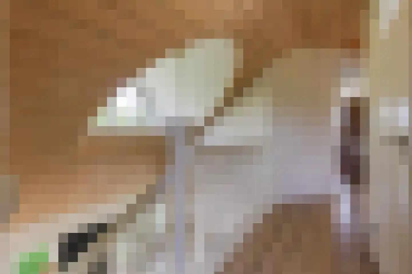 Voorste Kerkweg 22 Beekbergen thumbnail 20