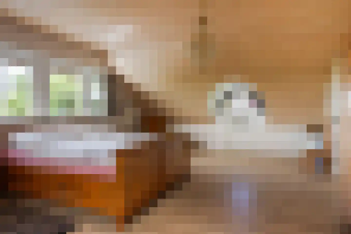 Voorste Kerkweg 22 Beekbergen thumbnail 20