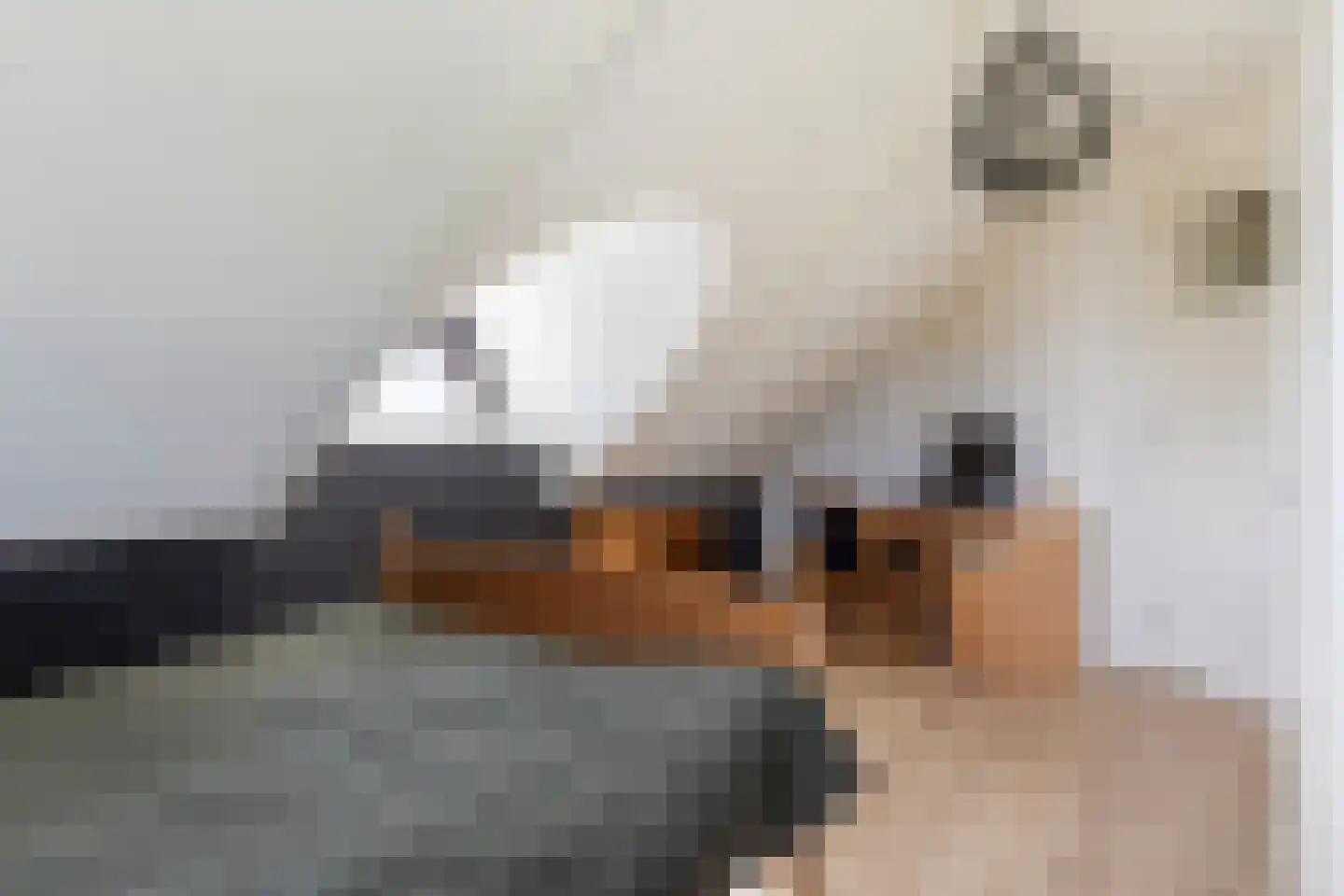 Voorste Kerkweg 22 Beekbergen thumbnail 25