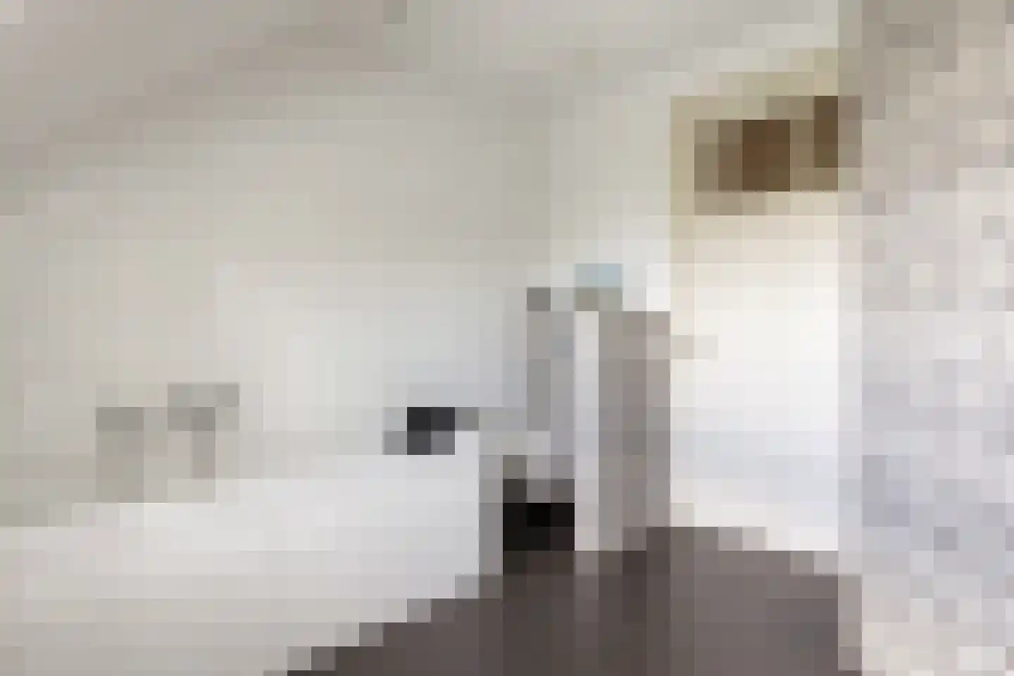 Voorste Kerkweg 22 Beekbergen thumbnail 26