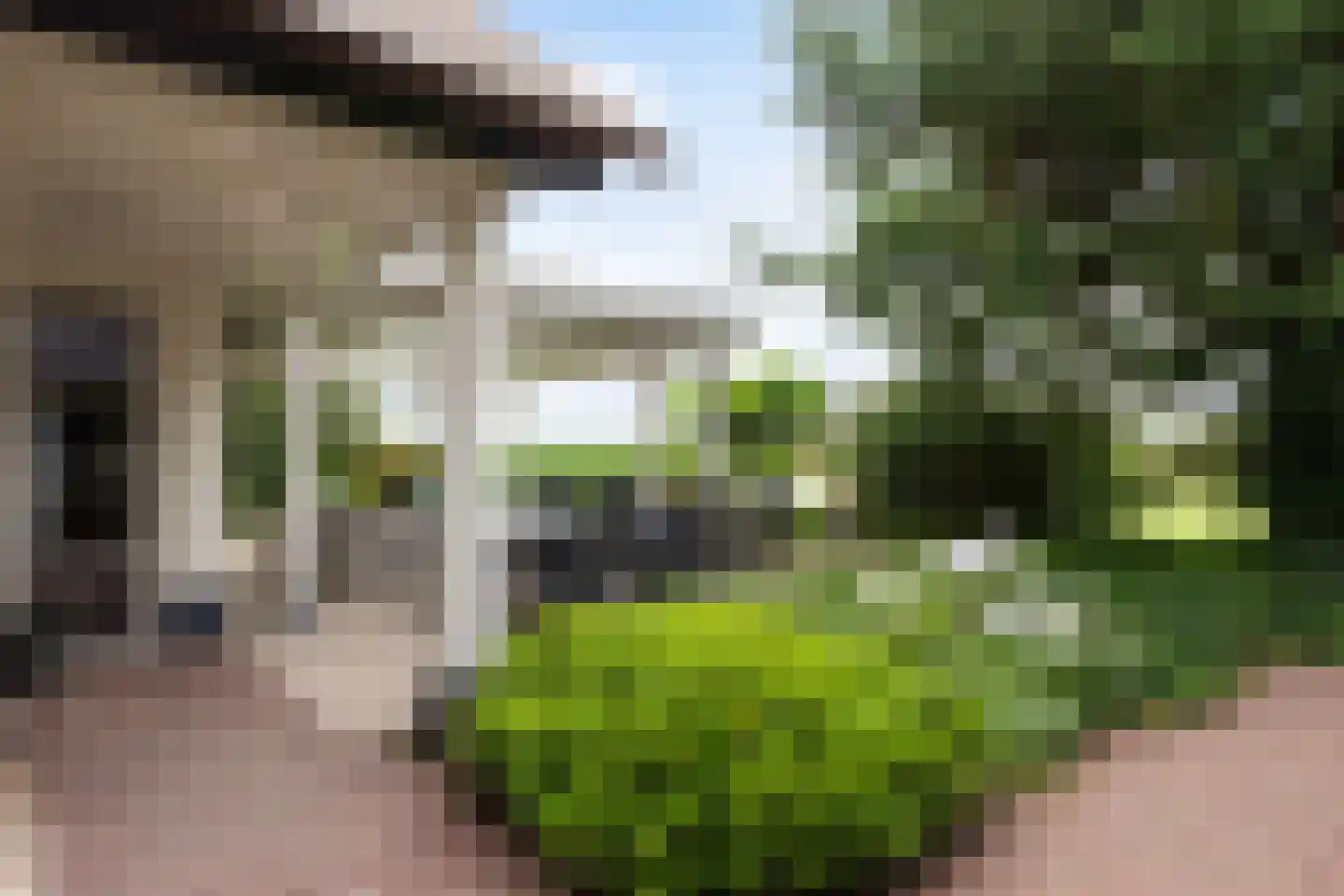 Voorste Kerkweg 22 Beekbergen thumbnail 37