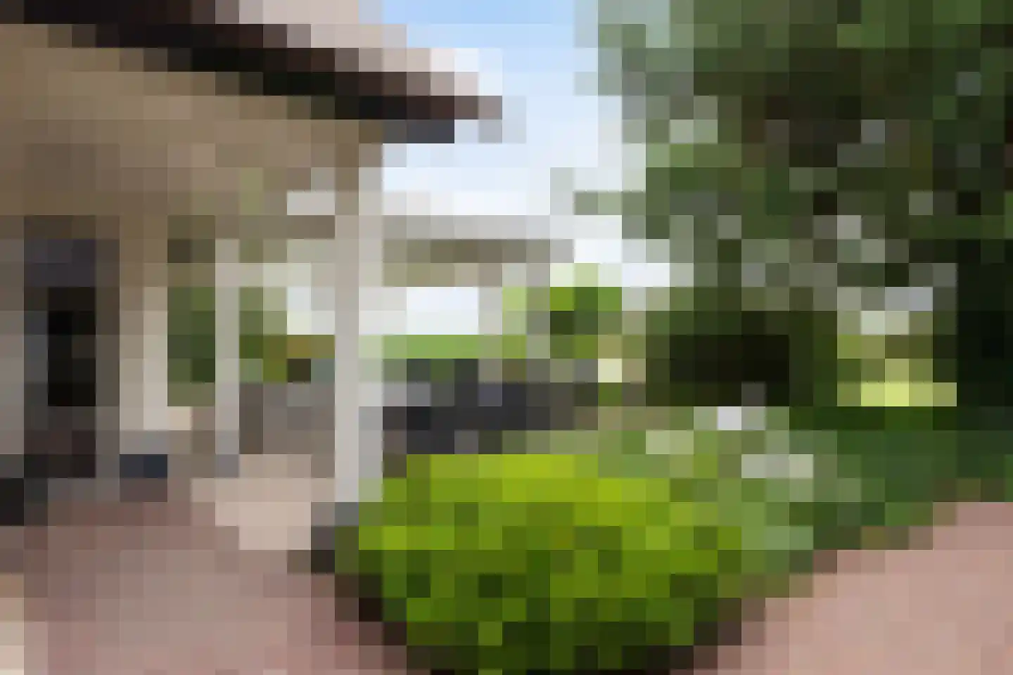 Voorste Kerkweg 22 Beekbergen thumbnail 39