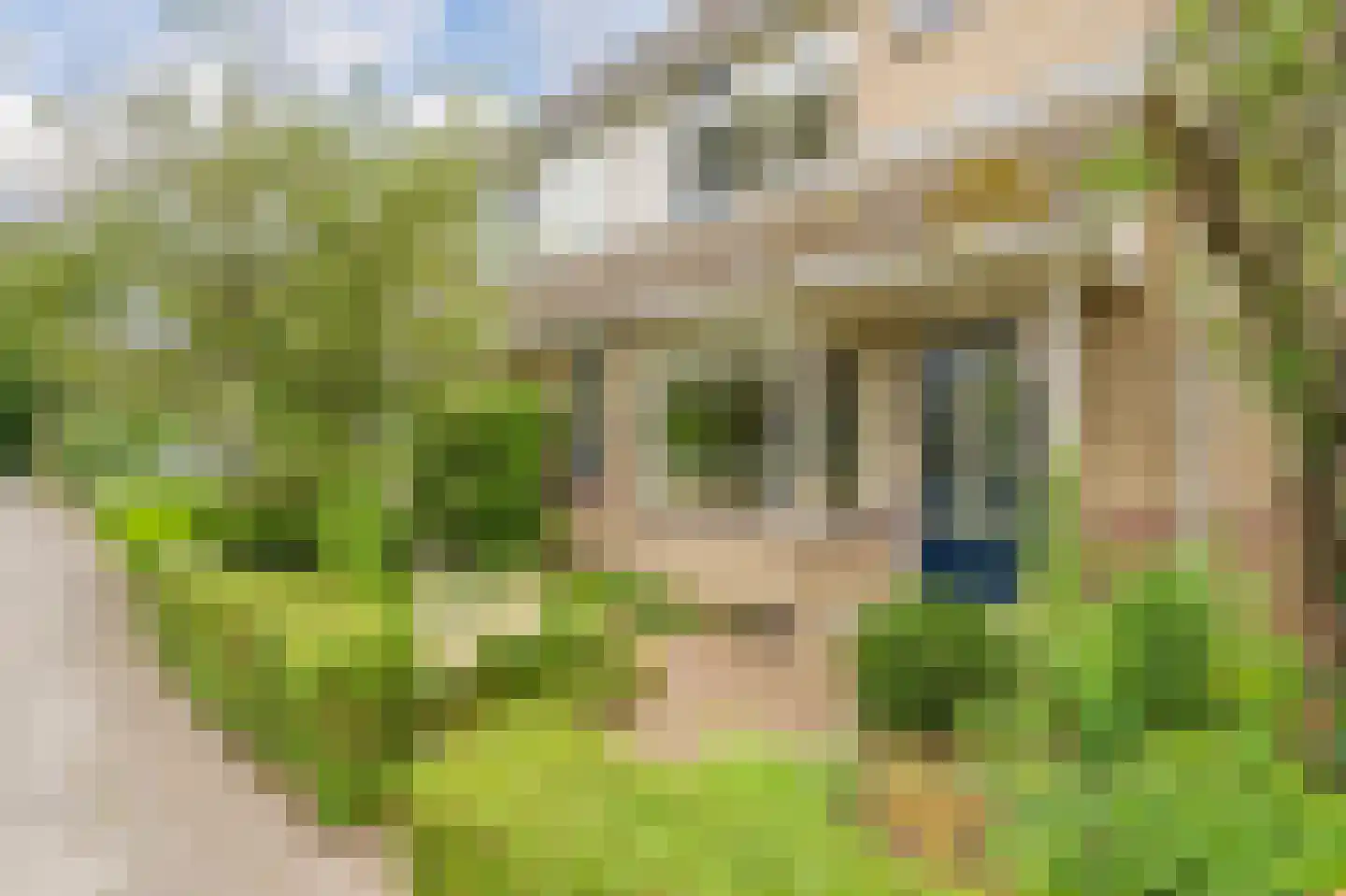 Voorstebree 36 Assen thumbnail 11