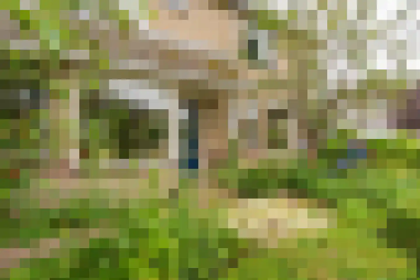 Voorstebree 36 Assen thumbnail 12