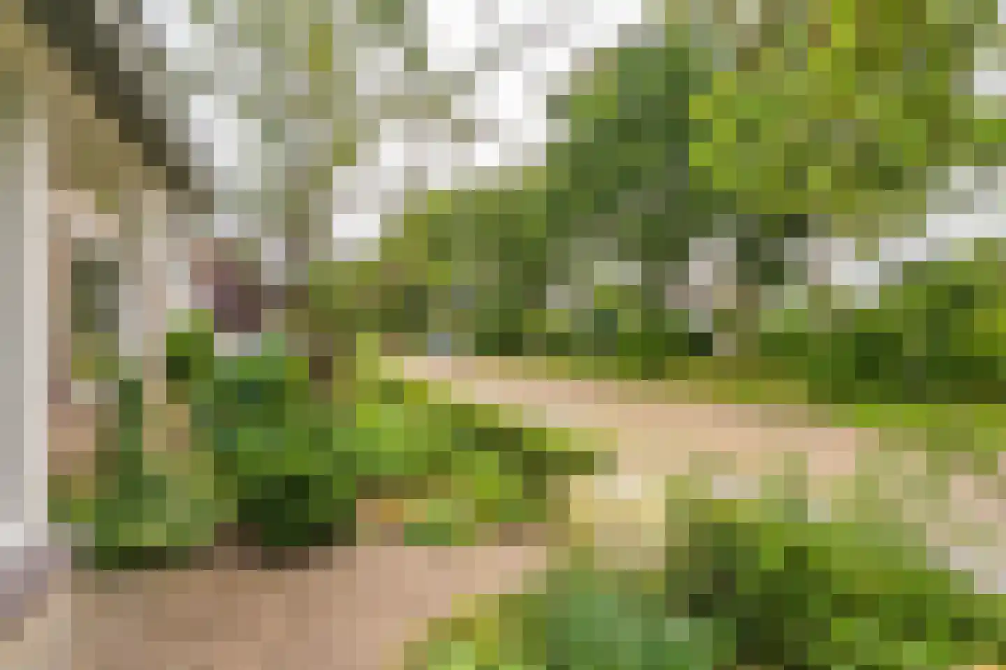 Voorstebree 36 Assen thumbnail 13