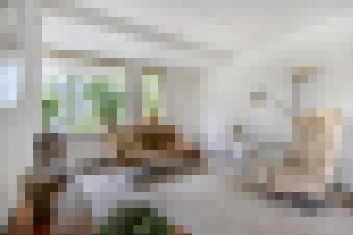 Voorstebree 36 Assen thumbnail 17