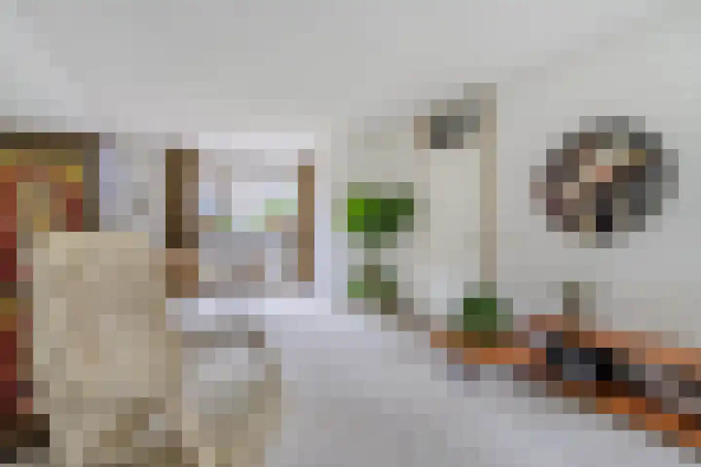 Voorstebree 36 Assen thumbnail 20