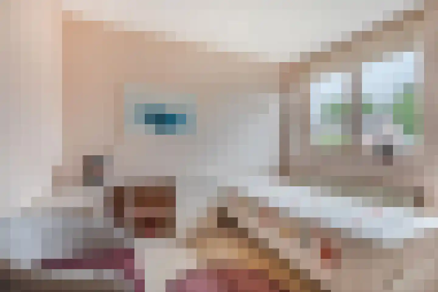 Voorstebree 36 Assen thumbnail 29