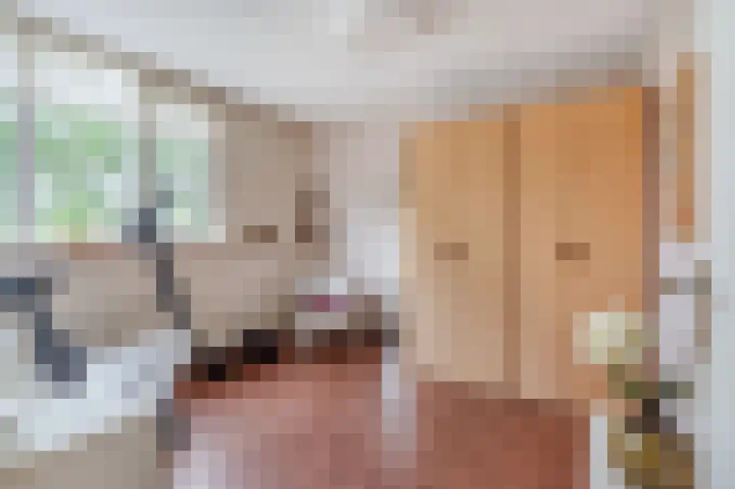 Voorstebree 36 Assen thumbnail 31