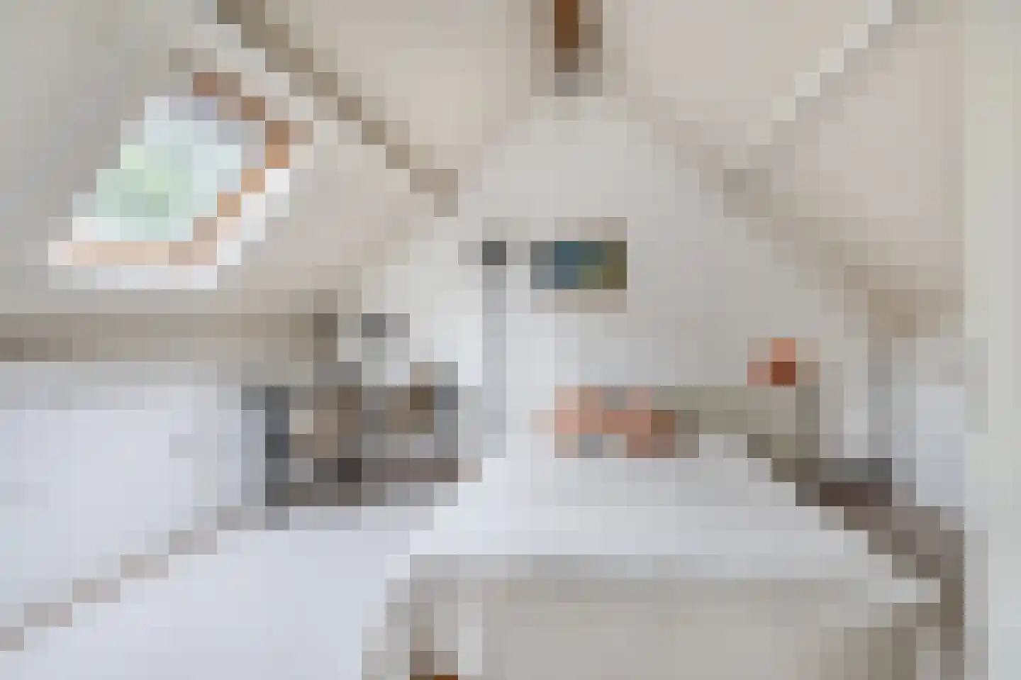 Voorstebree 36 Assen thumbnail 37