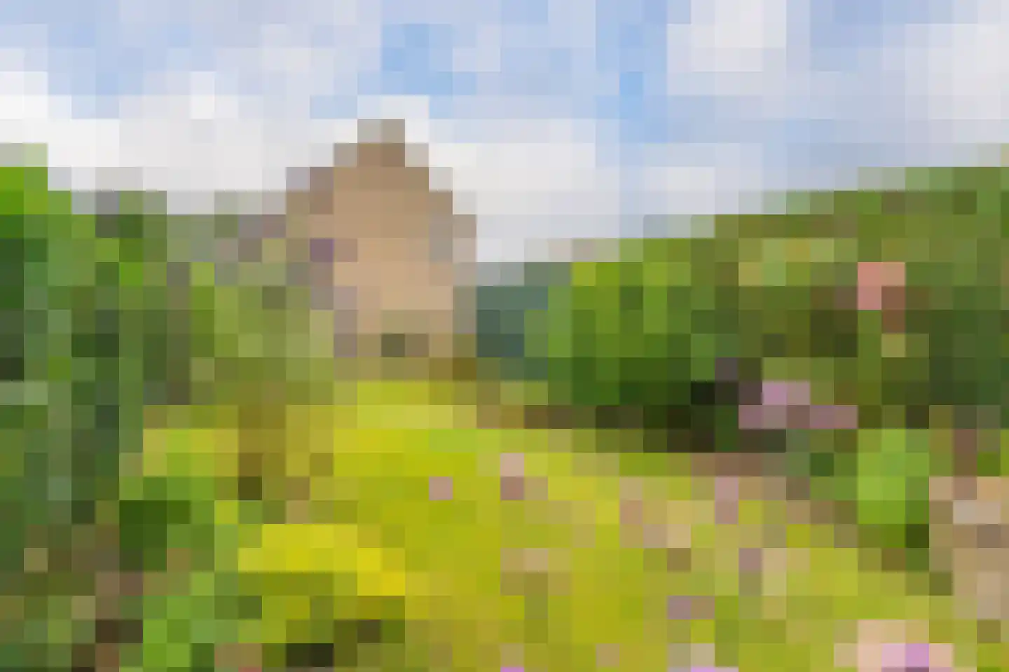 Voorstebree 36 Assen thumbnail 39
