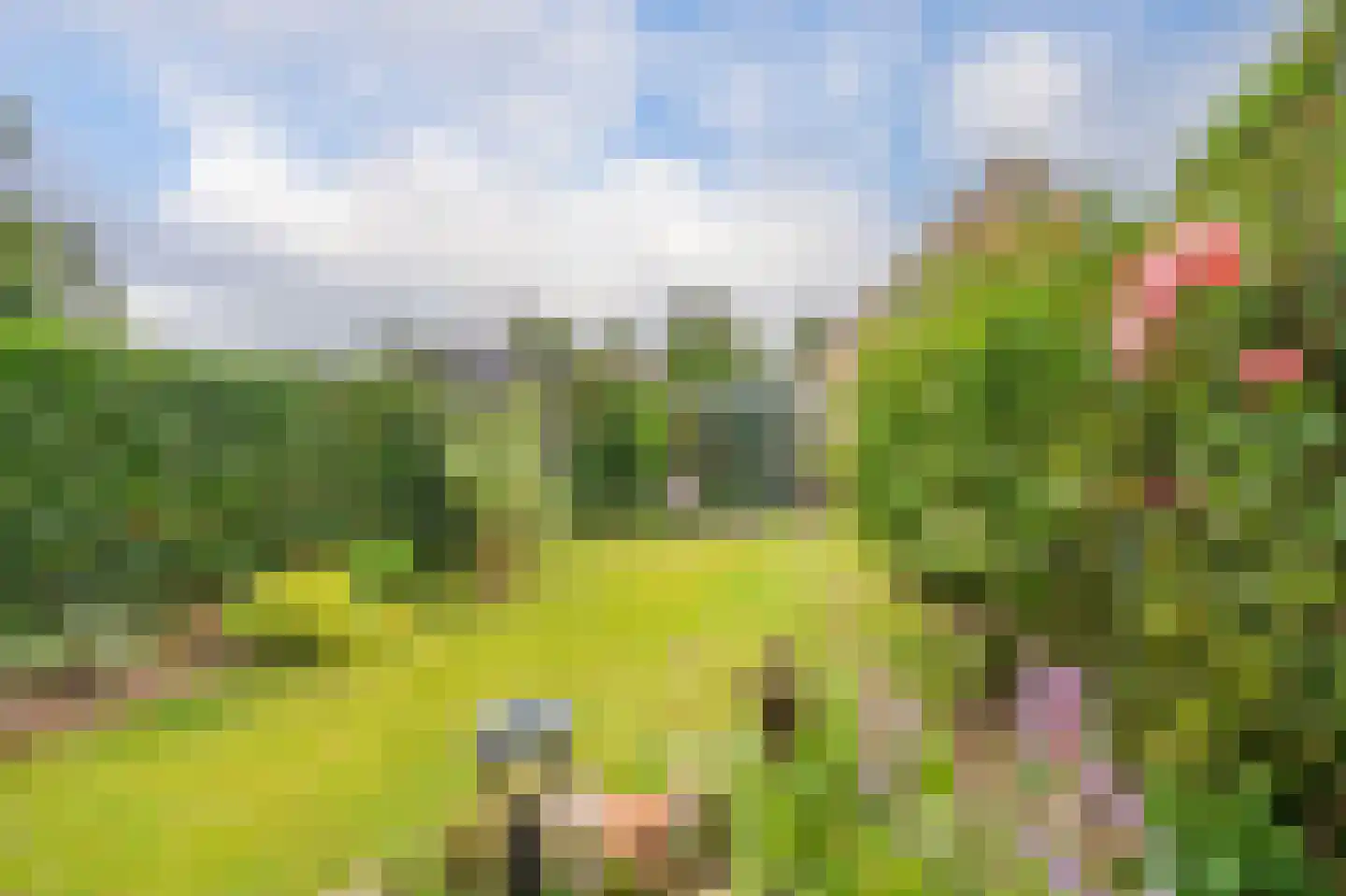 Voorstebree 36 Assen thumbnail 4