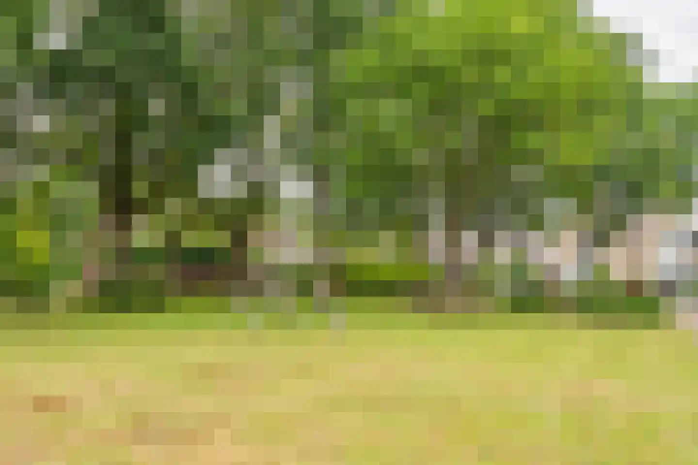 Voorstebree 36 Assen thumbnail 45