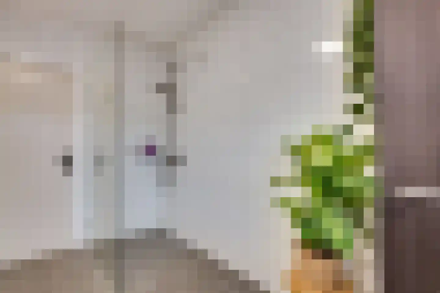 Voorstebree 7 Assen thumbnail 30