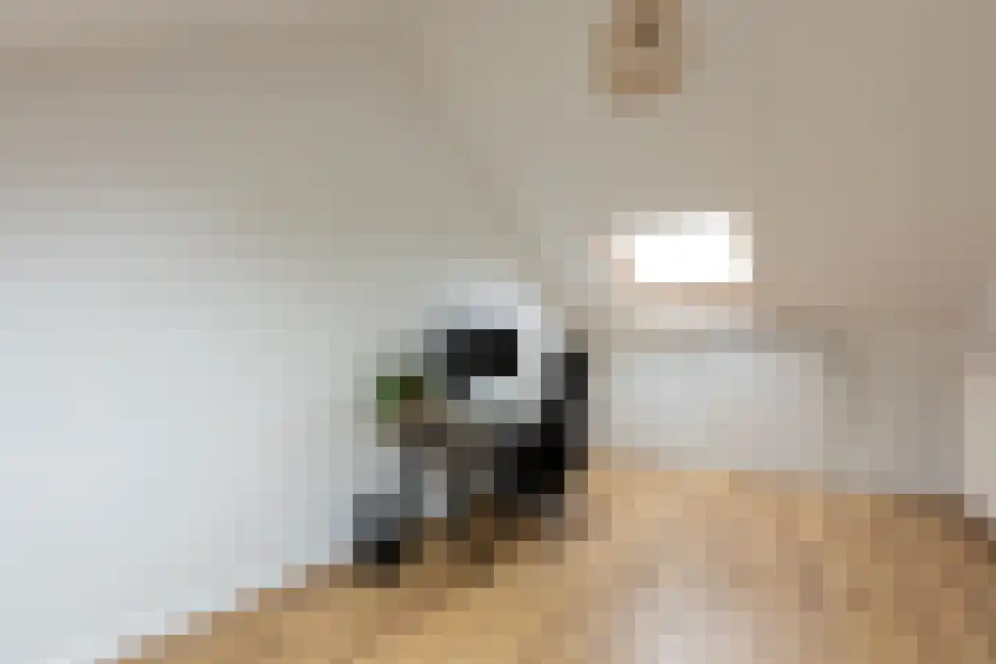 Voorstebree 7 Assen thumbnail 33