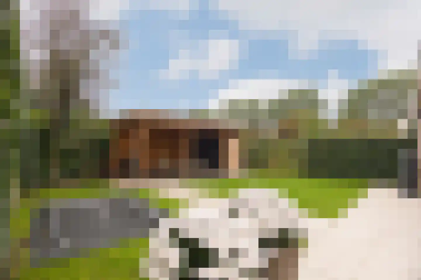 Voorstebree 7 Assen thumbnail 35