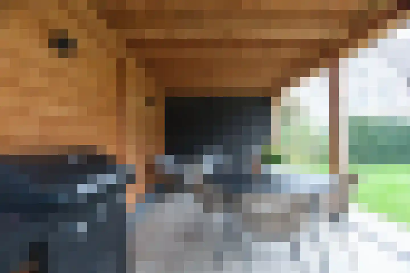 Voorstebree 7 Assen thumbnail 38