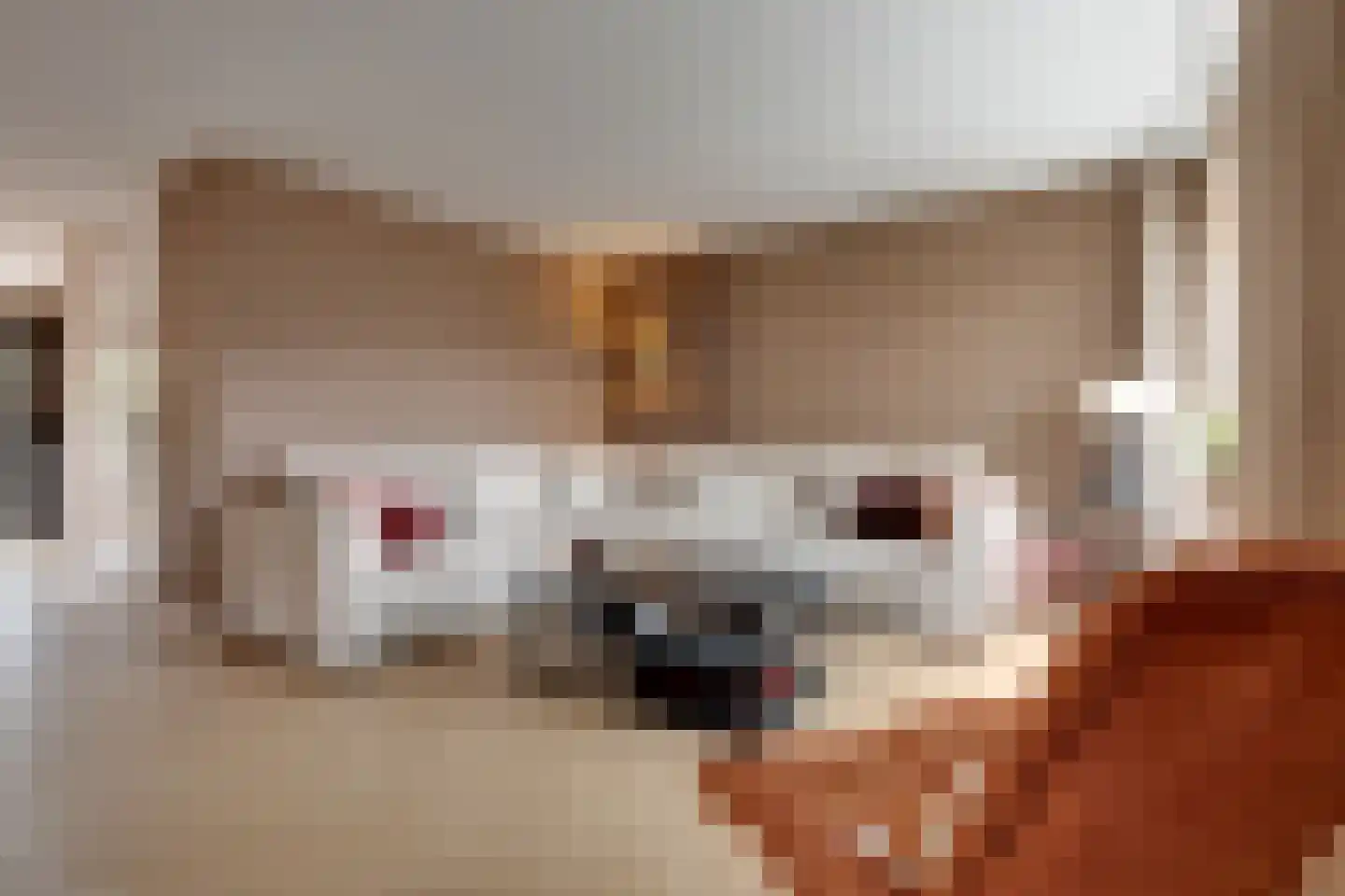 Voorstebree 7 Assen thumbnail 4