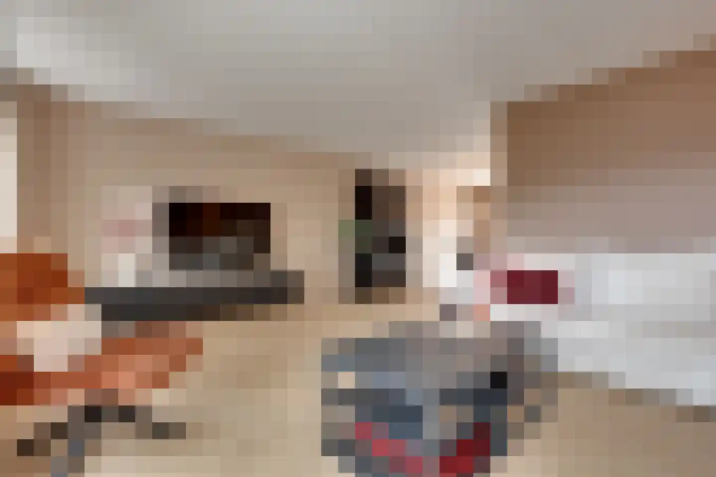 Voorstebree 7 Assen thumbnail 6