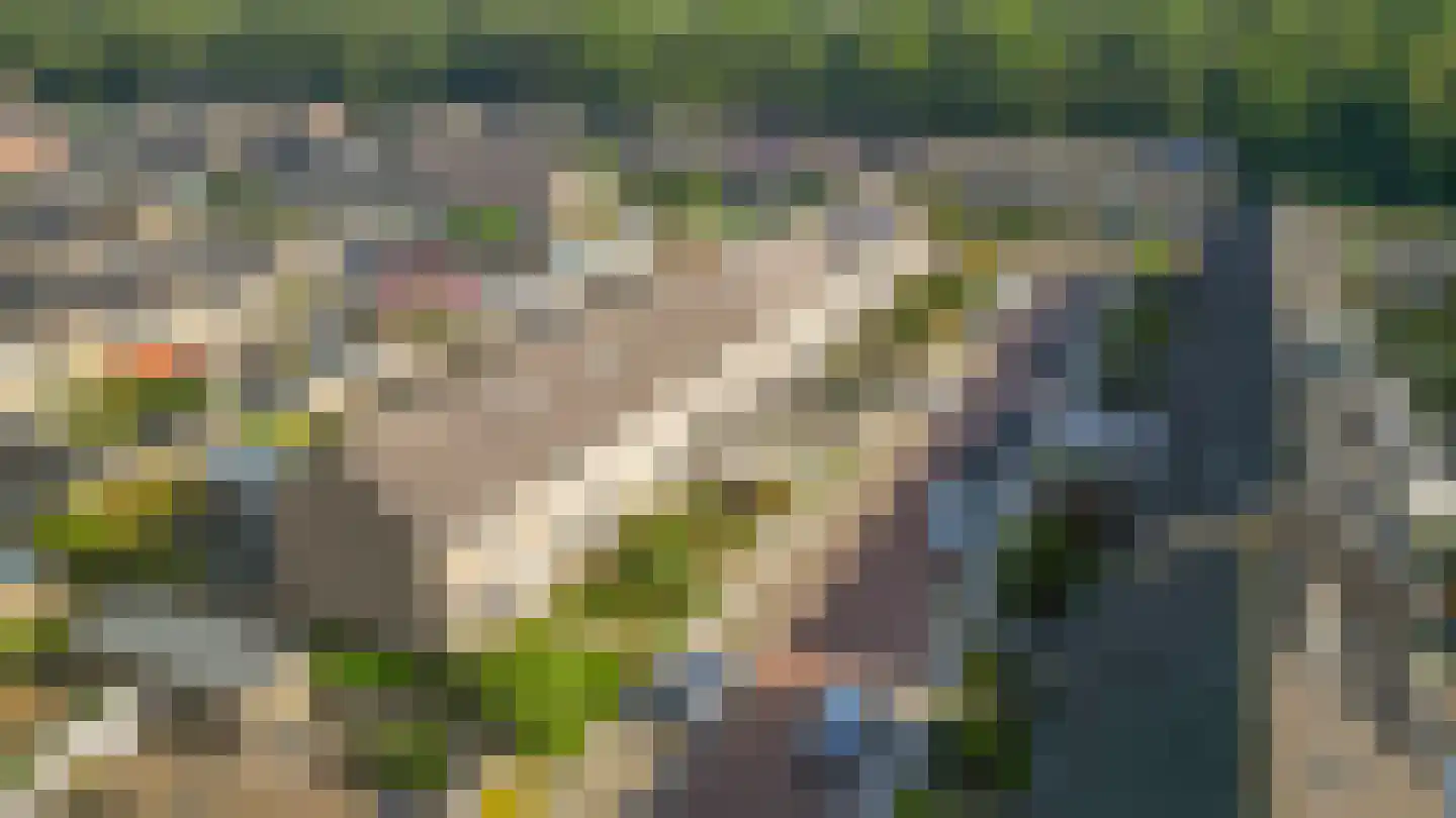 Voorstekamp 43 Stadskanaal thumbnail 45