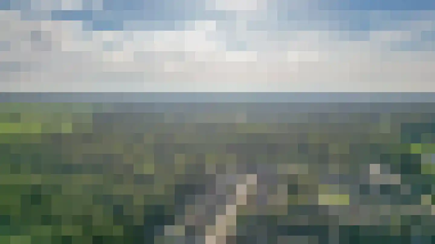 Voorstekamp 43 Stadskanaal thumbnail 49
