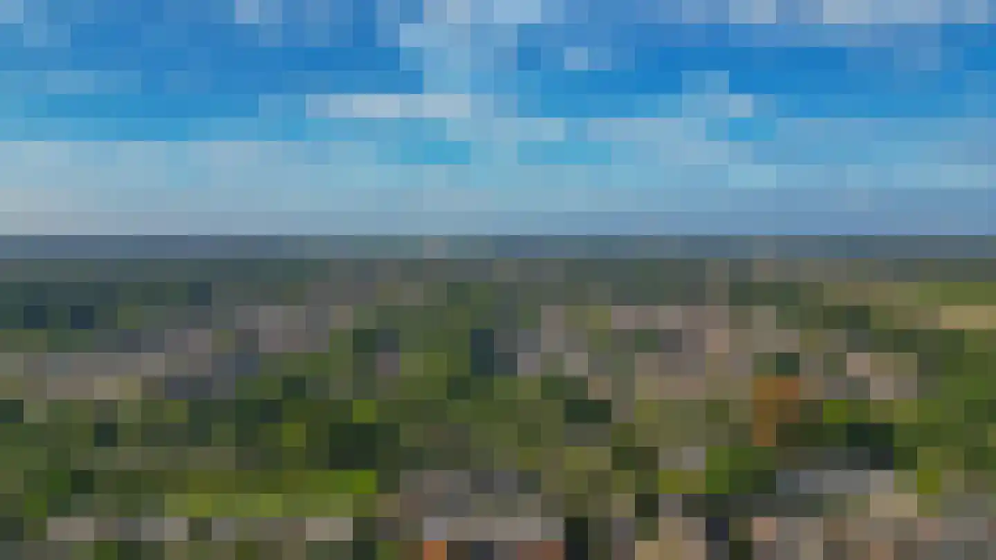 Voorstekamp 43 Stadskanaal thumbnail 51