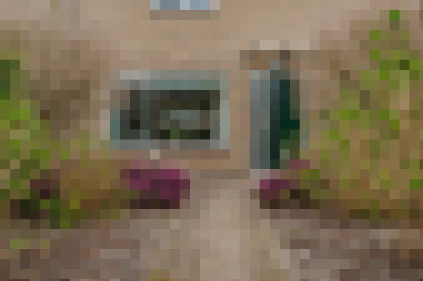 Voorstekamp 52 Stadskanaal thumbnail 5