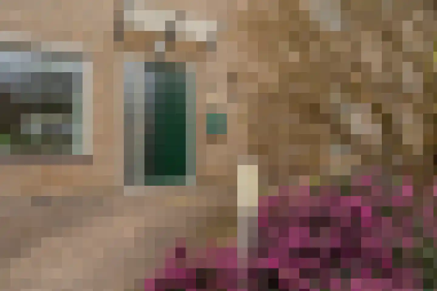 Voorstekamp 52 Stadskanaal thumbnail 6
