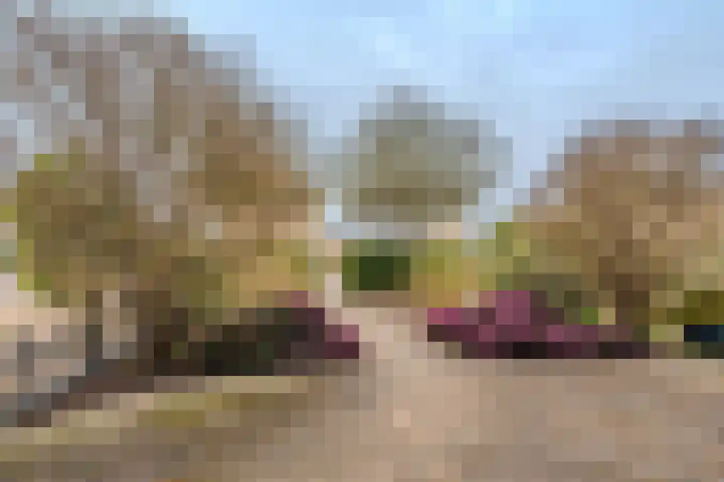 Voorstekamp 52 Stadskanaal thumbnail 7