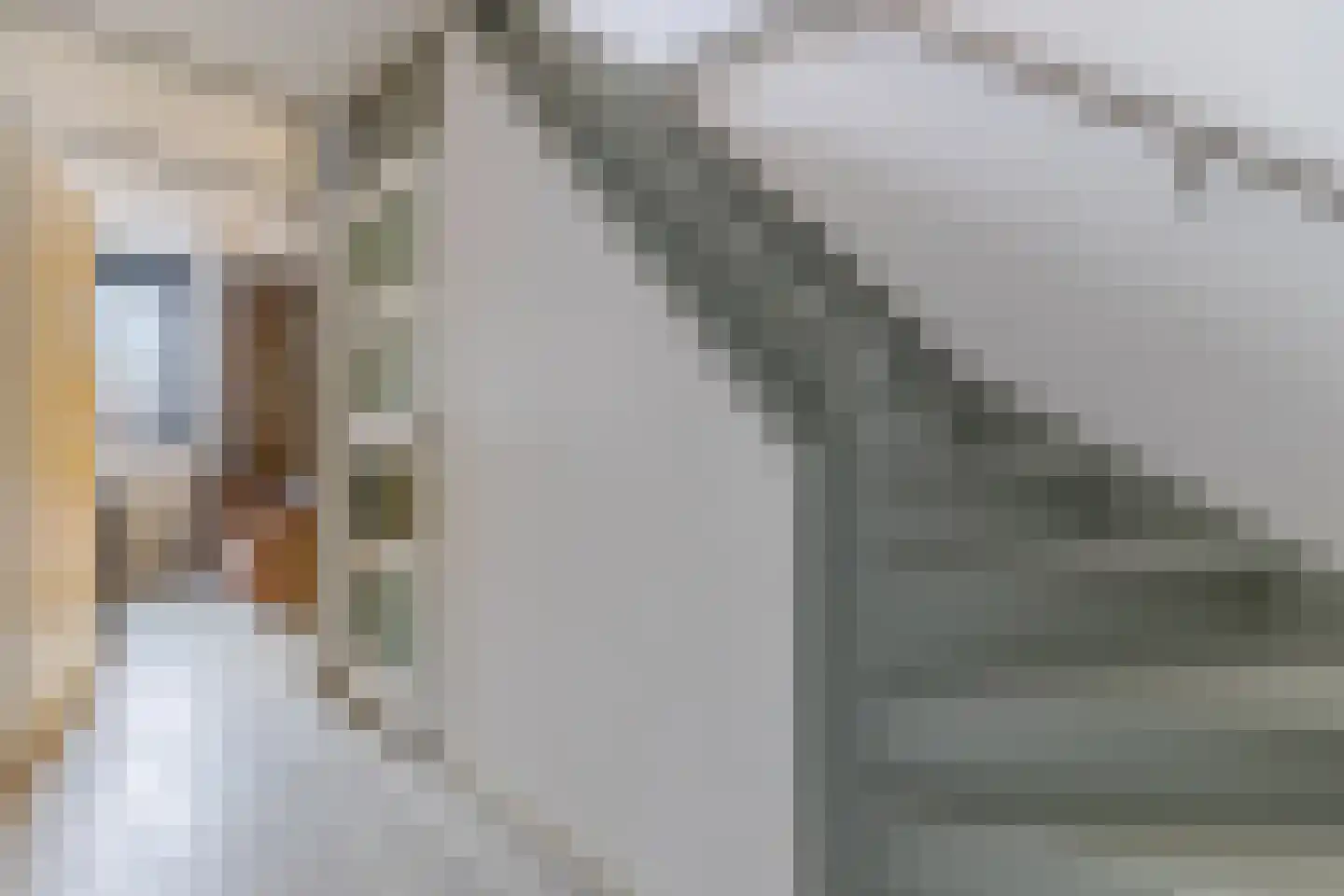 Voorster Beek 20 Zaandam thumbnail 31