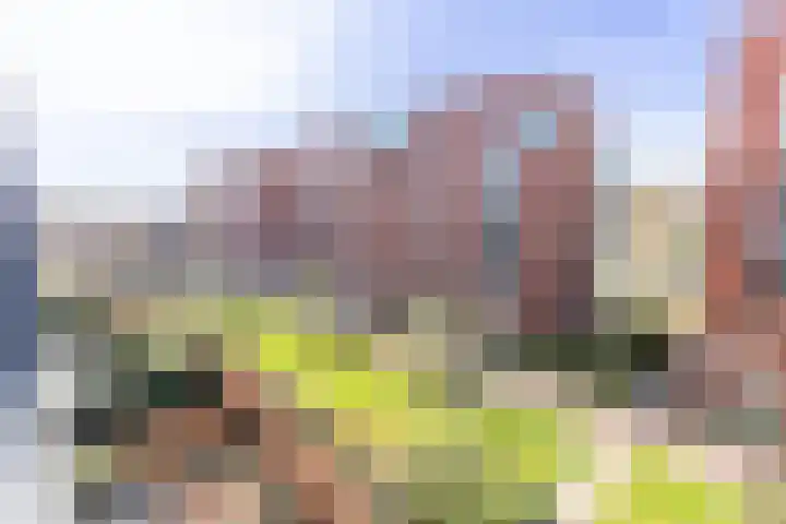 Voorsterbeeklaan 100 Utrecht thumbnail 14