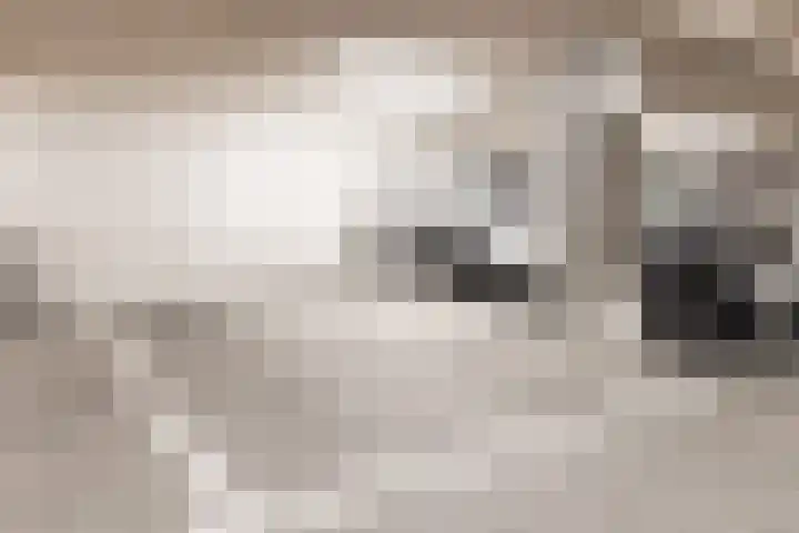 Voorsterbeeklaan 100 Utrecht thumbnail 36