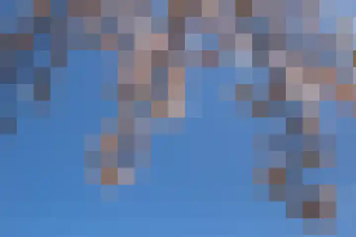 Voorsterbeeklaan 100 Utrecht thumbnail 39