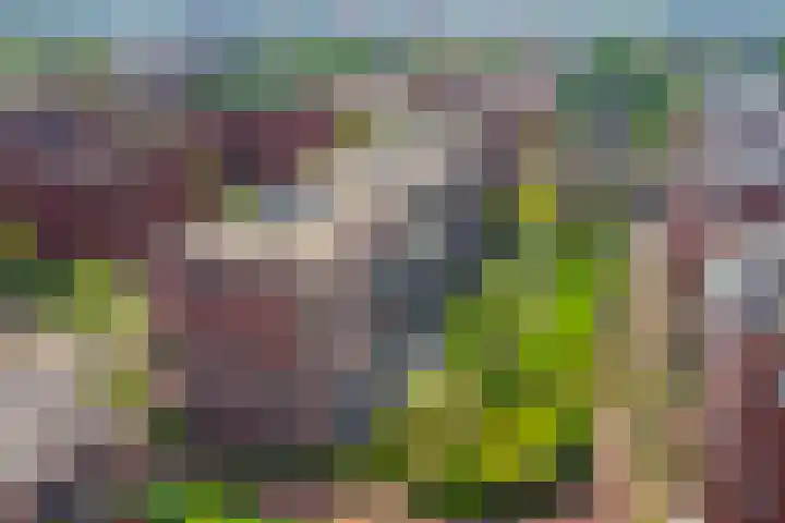 Voorsterbeeklaan 100 Utrecht thumbnail 41