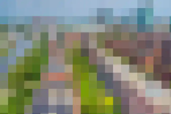 Voorsterbeeklaan 100 Utrecht thumbnail 42