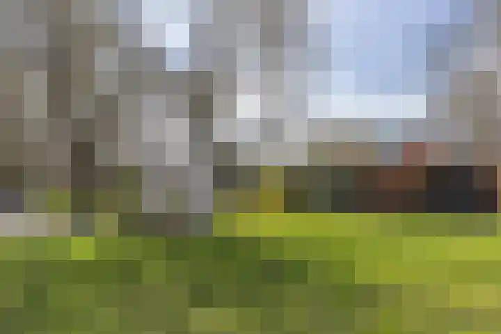 Voorsterbeeklaan 100 Utrecht thumbnail 45
