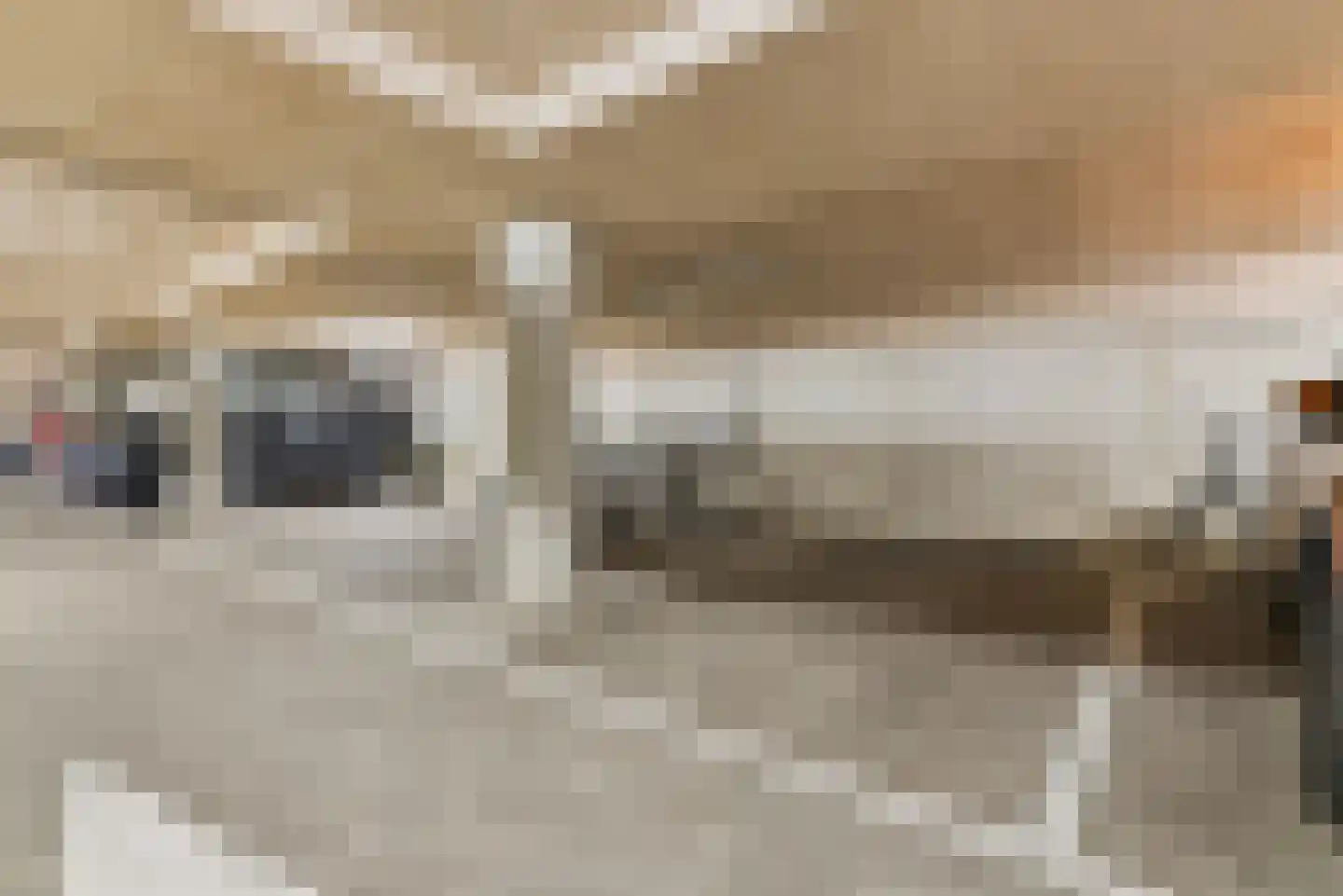 Voorsterbeeklaan 106 Utrecht thumbnail 32