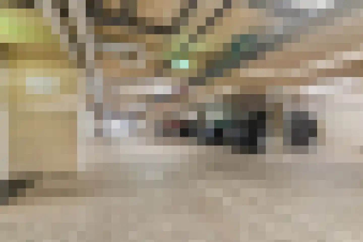 Voorsterbeeklaan 106 Utrecht thumbnail 33