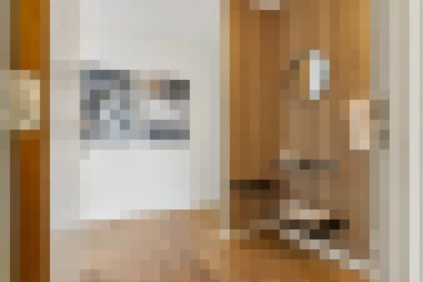 Voorsterbeeklaan 106 Utrecht thumbnail 4