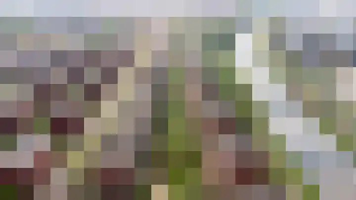 Voorsterbeeklaan 124 Utrecht thumbnail 30