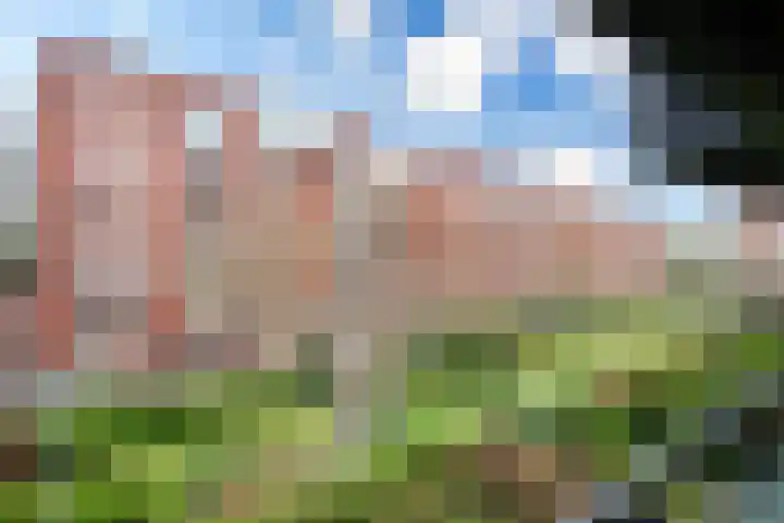 Voorsterbeeklaan 124 Utrecht thumbnail 33