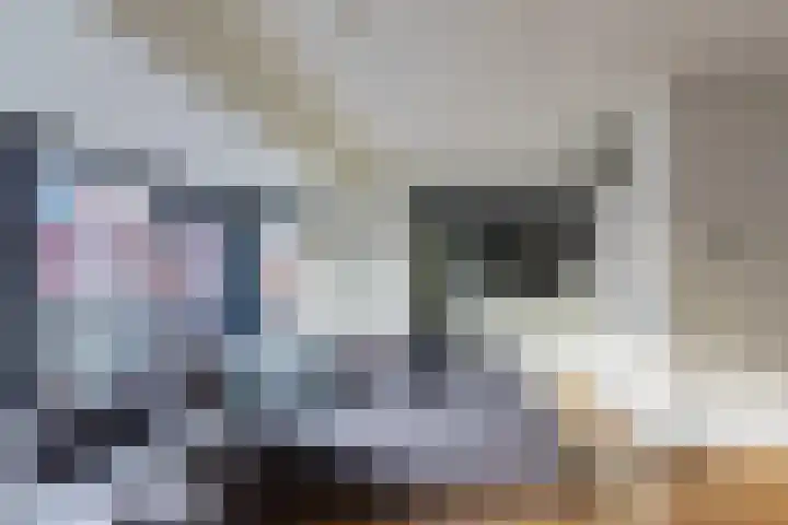 Voorsterbeeklaan 132 Utrecht thumbnail 12