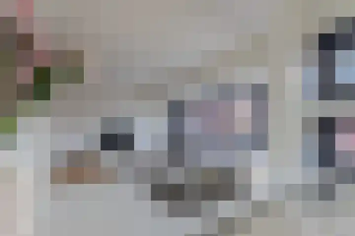 Voorsterbeeklaan 132 Utrecht thumbnail 14