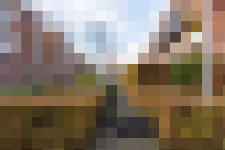 Voorsterbeeklaan 132 Utrecht thumbnail 35