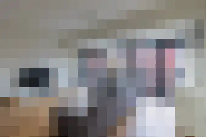 Voorsterbeeklaan 132 Utrecht thumbnail 6