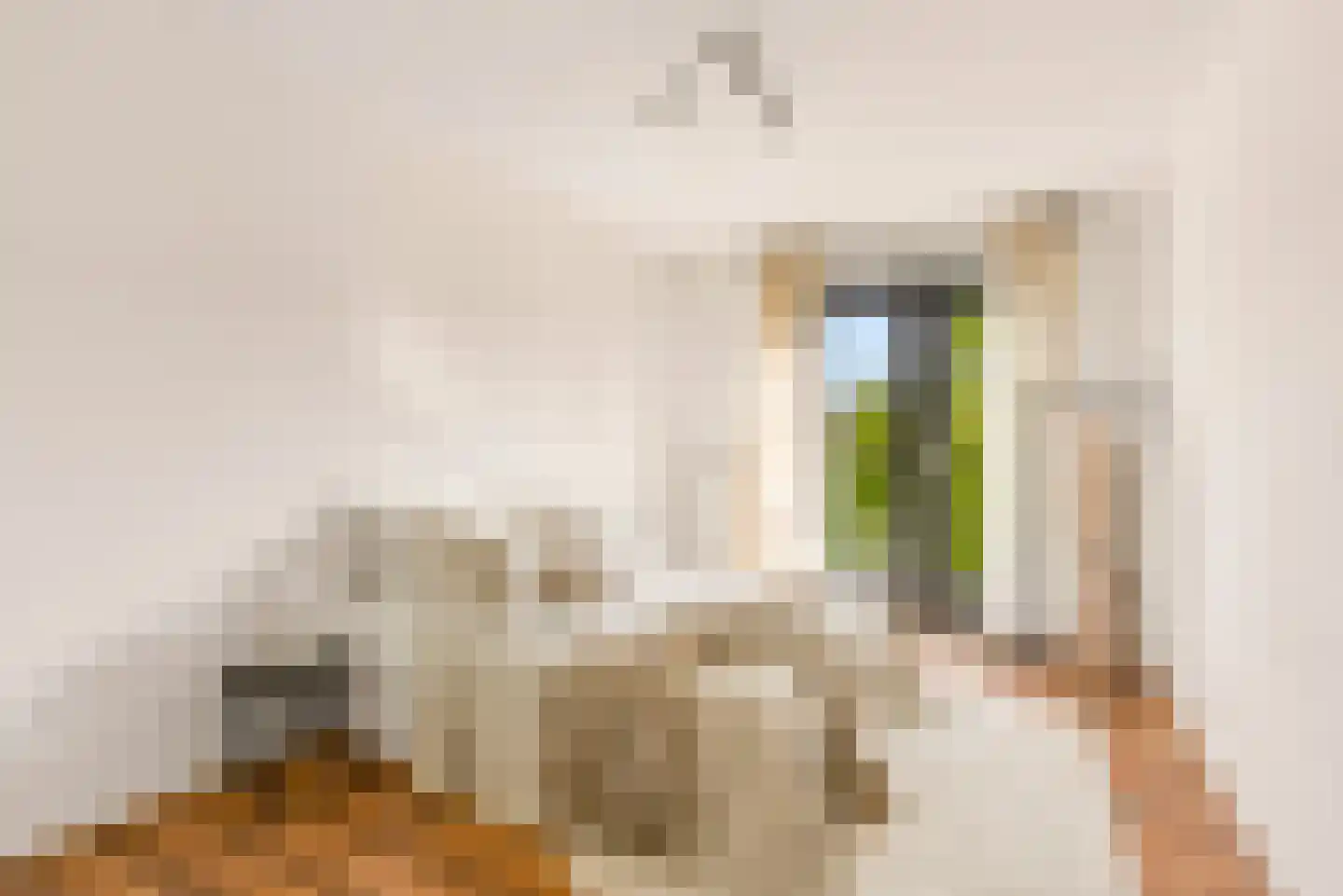 Voorsterbeeklaan 164 Utrecht thumbnail 16