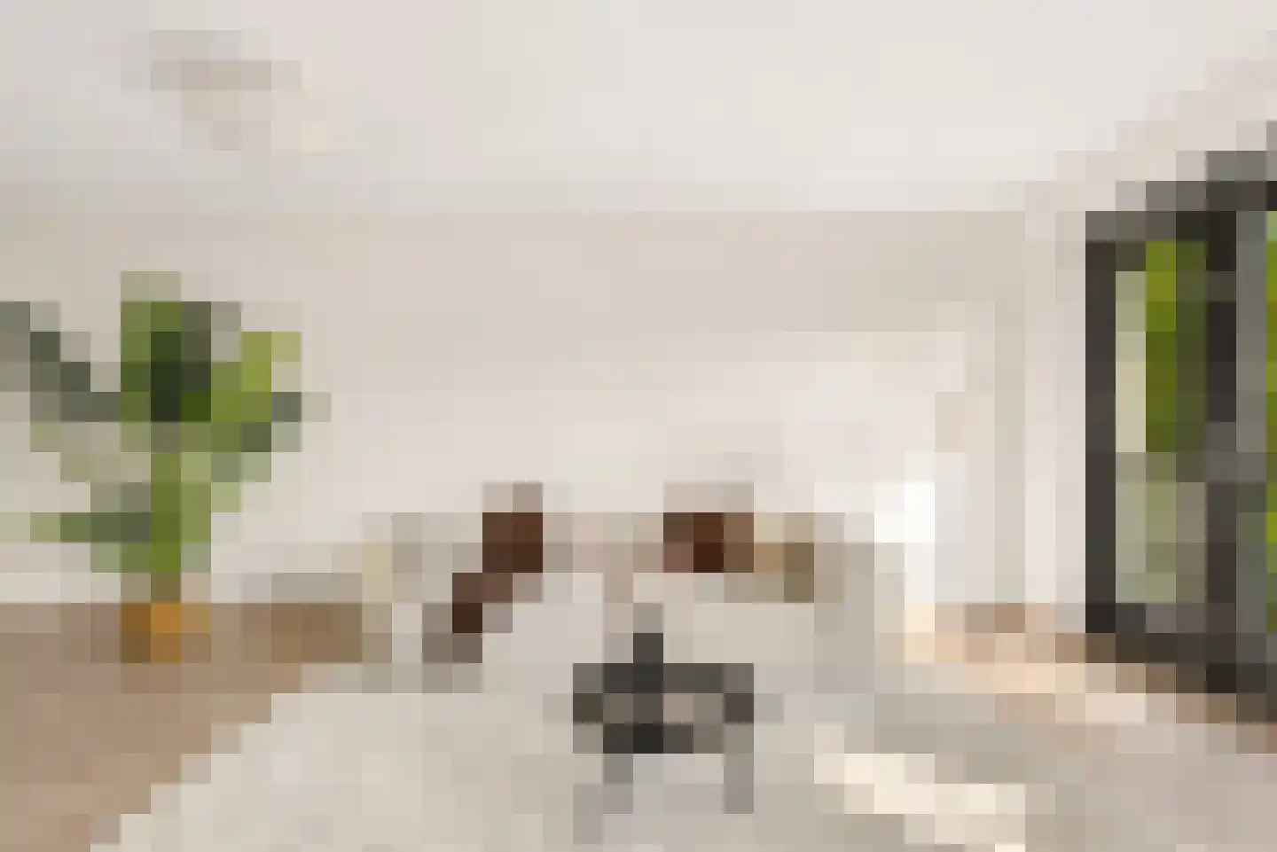Voorsterbeeklaan 164 Utrecht thumbnail 25