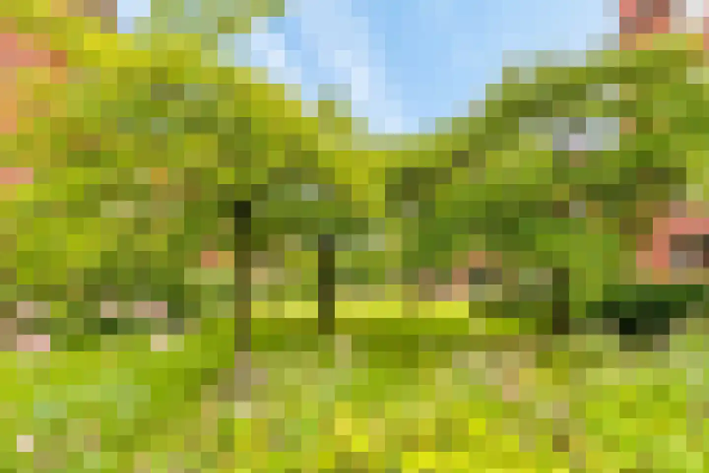 Voorsterbeeklaan 164 Utrecht thumbnail 30